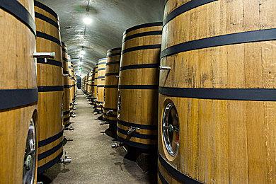 经典游戏《幻想水浒传1&2 高清复刻合集》开场动画公布 2025年3月6日发售